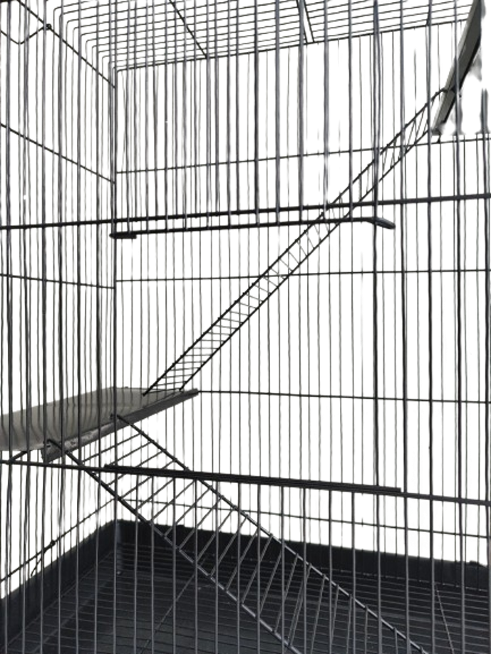 Jaula con escaleras para roedores como hurones, ardillas, conejos, chinchillas